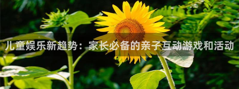 天辰运动：儿童娱乐新趋势：家长必备的亲子互动游戏和活动