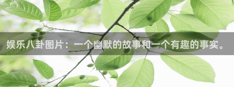 天辰娱乐苹果版安装教程：娱乐八卦图片：一个幽默的故事和一个有趣的事实。