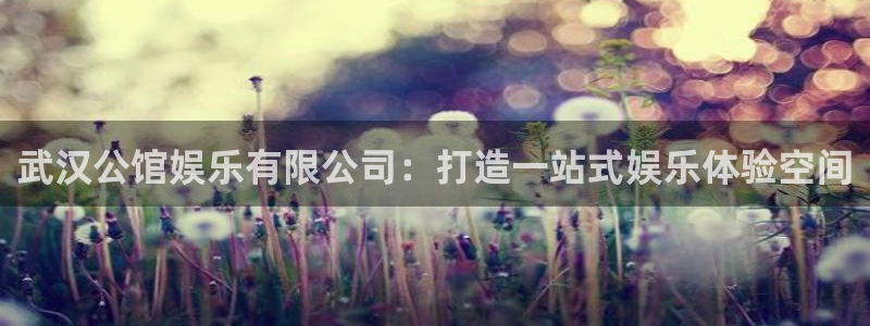 天辰娱乐代理：武汉公馆娱乐有限公司：打造一站式娱乐体验空间